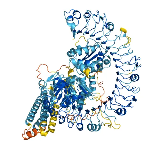 Q8W3K0 protein structure