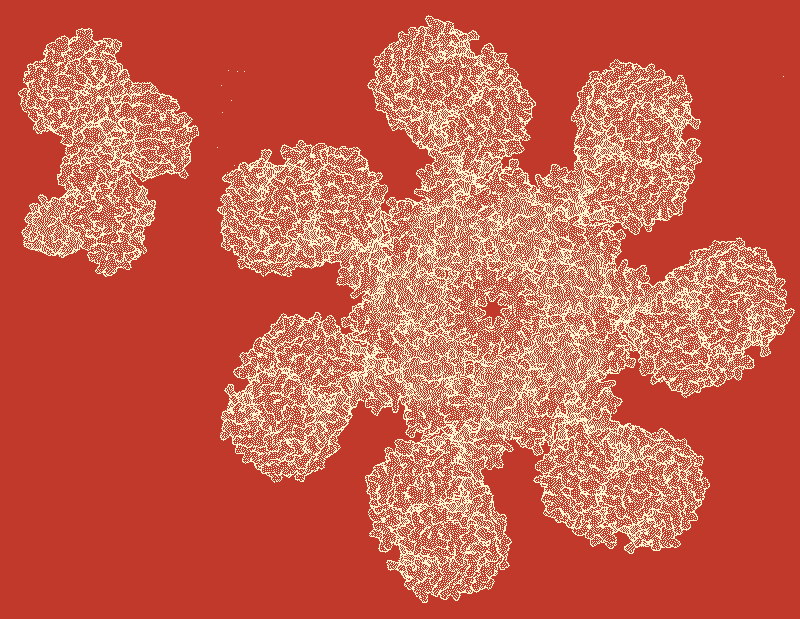 The Apoptosome