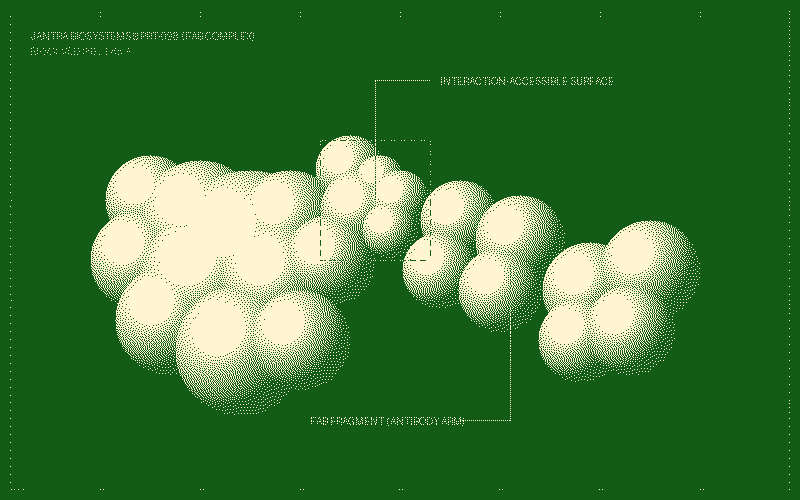 A molecular model showcasing an antibody Fab fragment stabilizing a target protein