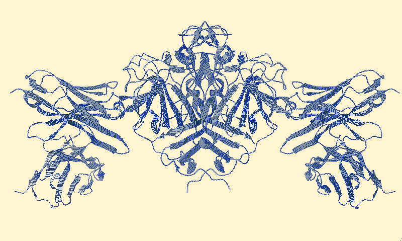 A molecular blueprint schematic showcasing a trimeric viral spike protein